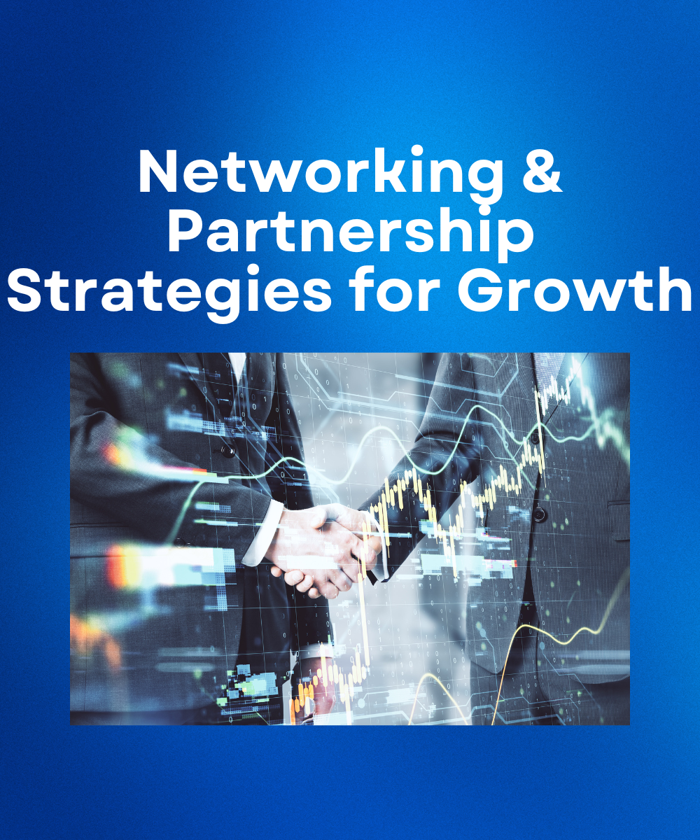 Networking & Partnership Strategies for Growth
