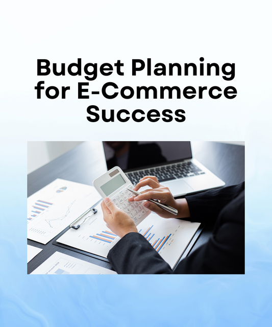 Budget Planning for E-Commerce Success